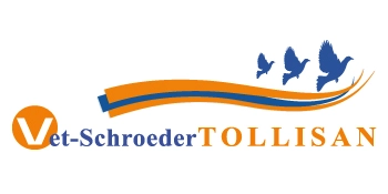 TOLLISAN
