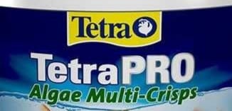 Tetra