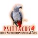 PSİTTACUS