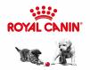 Royal Canin