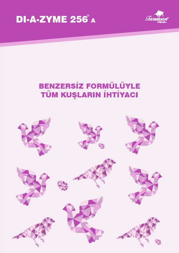 DI-A-ZYME 256 DİYAZEM Probiyotik 80 gr.