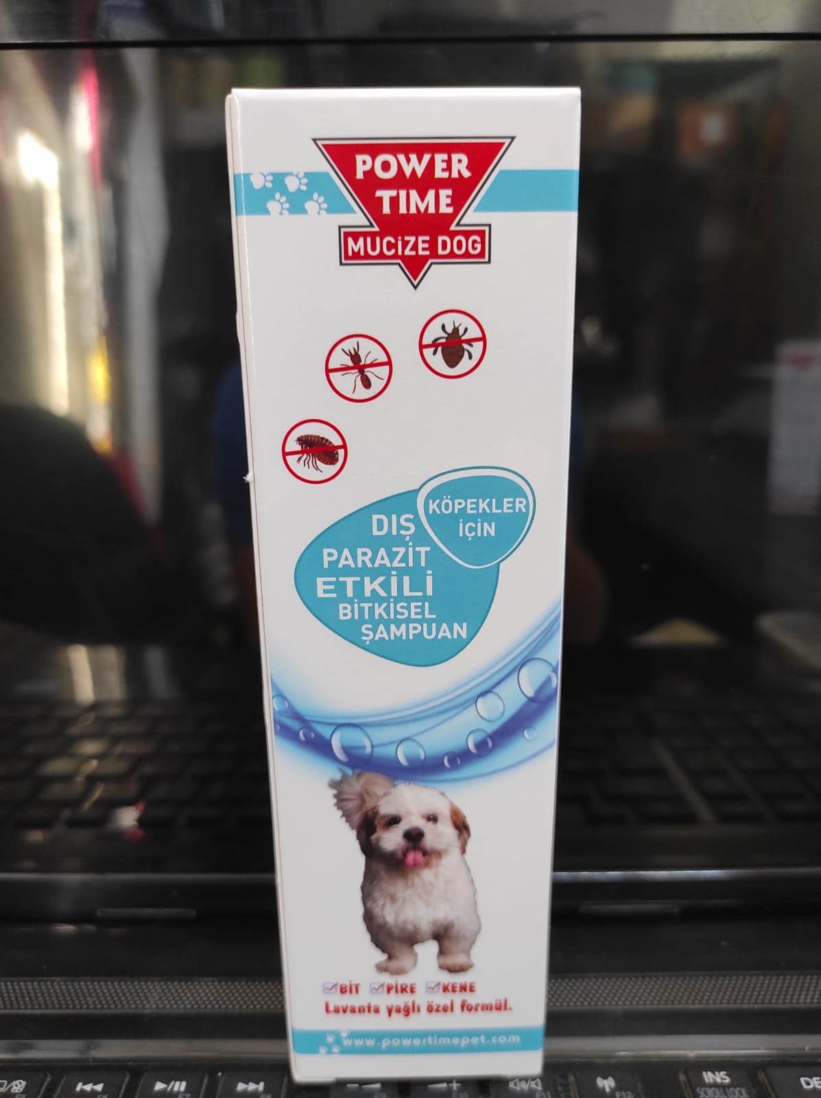 DR Power köpekler için pire, kene, bit şampuanı