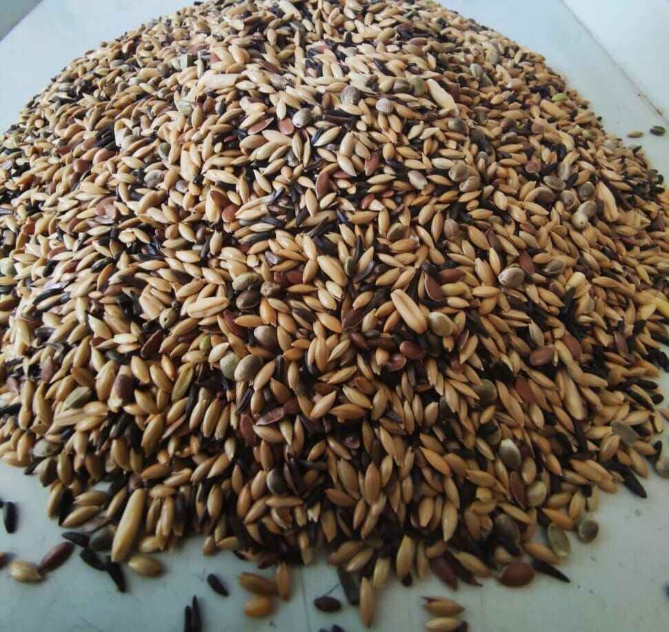 Natural Karışık Kanarya  (Şalgamsız) Yem (Bölünmüş) 1 Kg Kg