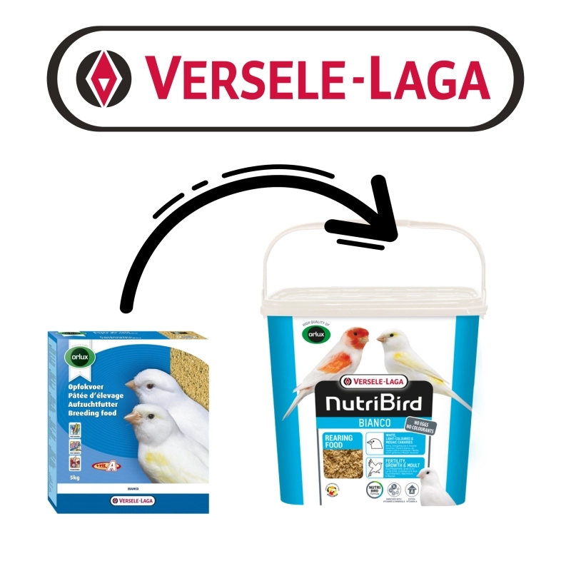 Versele Laga Orlux Bianco Beyaz Renk Yumurtasız Kanarya Nemli Maması 4 kg