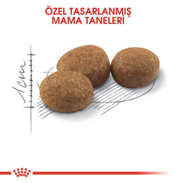 Royal Canin Sterilised 37 Kısırlaştırılmış Yetişkin Kedi Maması 15 KG