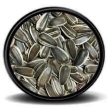 DAKOTA CEKİRDEK 1 KG