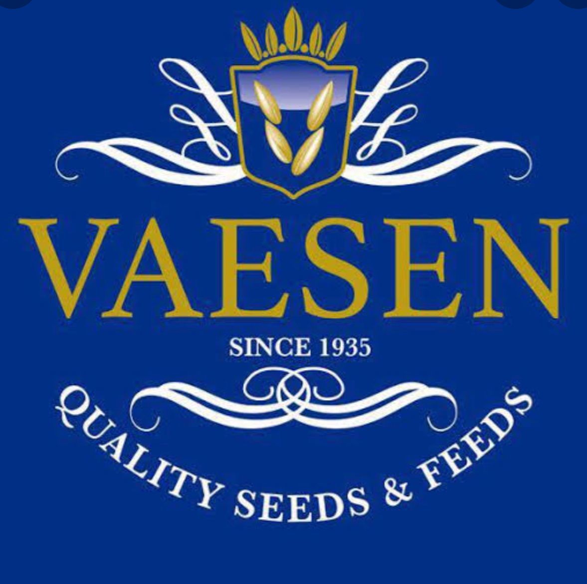 Vaesen%20SAKA%20YEMİ%200242%20Yabani%20Sağlık%20Tohumu%2015%20Kg