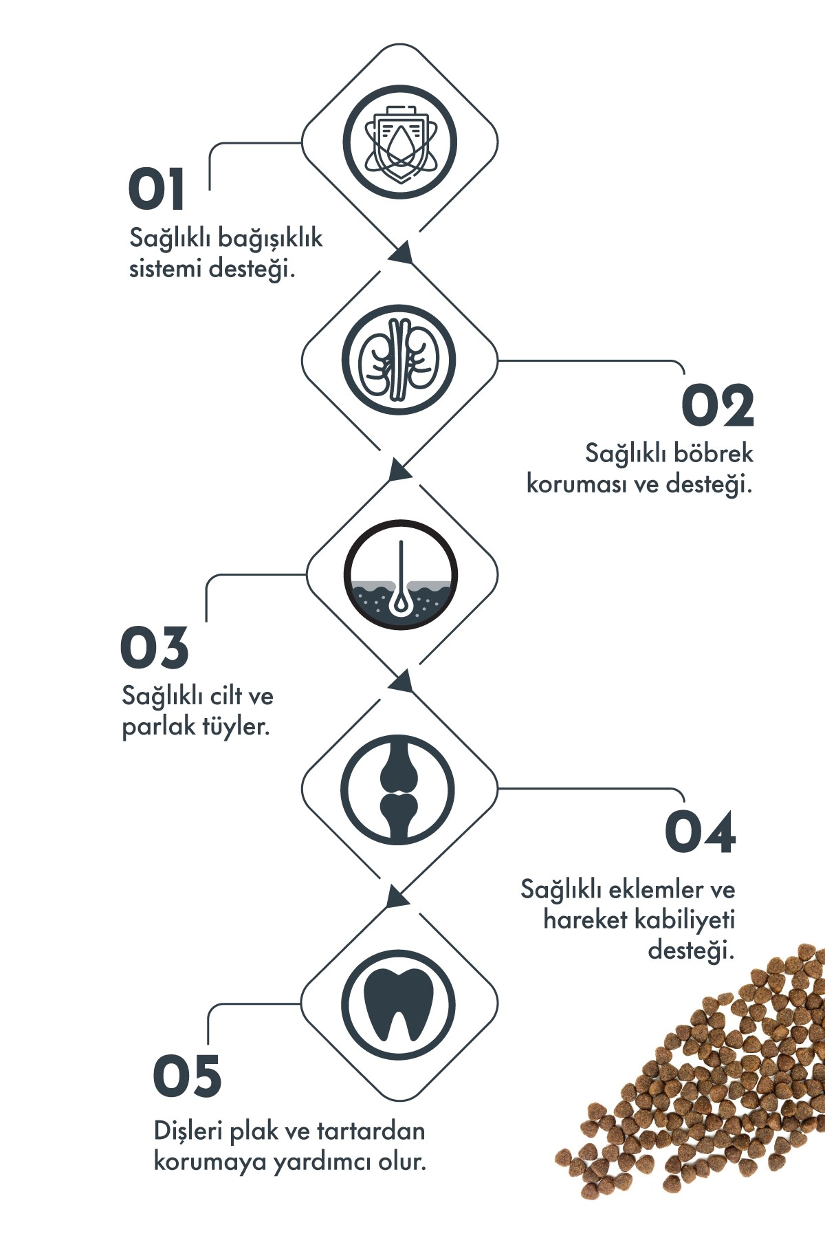 Pro Performance Somonlu ve Yaban Mersinli Küçük Irk Yetişkin Köpek Maması 2 kg