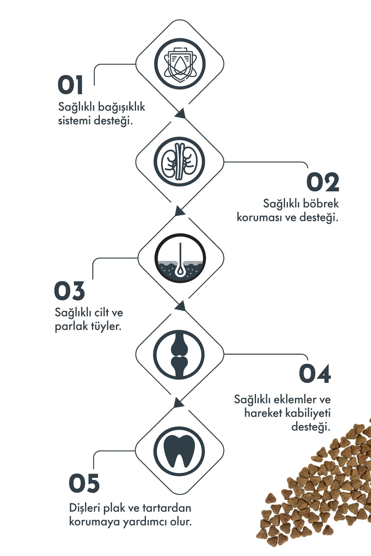 Pro Performance Light Mini Irk Kuzulu ve Yaban Mersinli Diyet Kısırlaştırılmış Yetişkin Köpek Maması 2 Kg