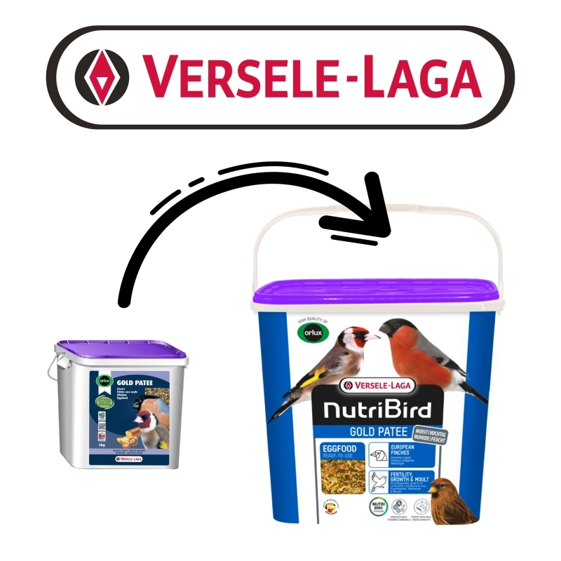 Versele Laga Orlux Gold Mor Kapak Patee Ballı Böcekli Karidesli Mama 5 kg