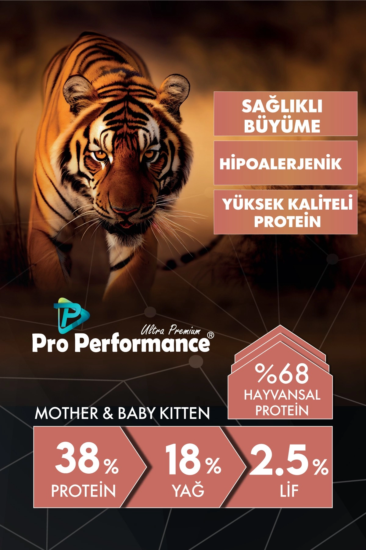 Pro Performance Kitten Anne ve Yavru Salmon & Rice 15 Kg