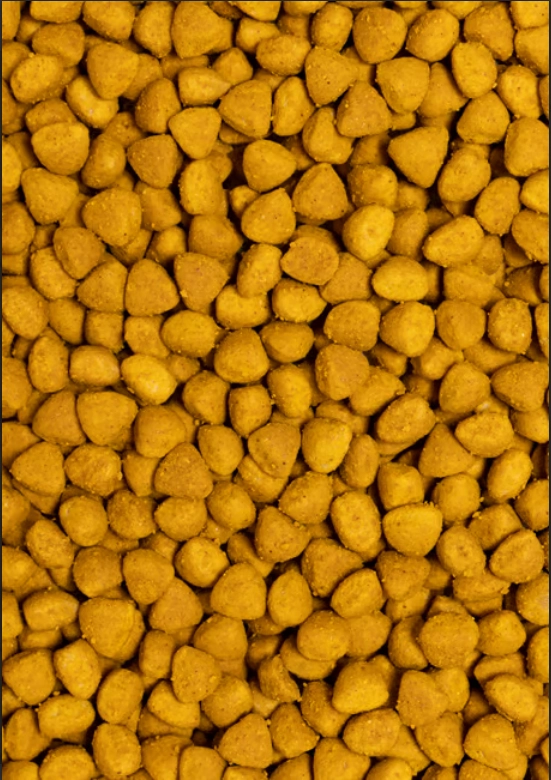 PSİTTACUS YÜKSEK ENERJİ ÜRETİMİ 1 Kg (BÖLÜNMÜŞ)