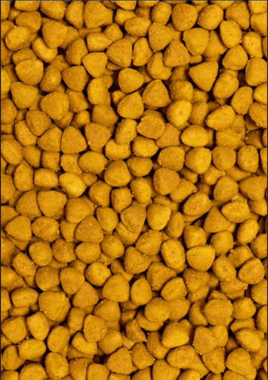 PSİTTACUS YÜKSEK ENERJİ ÜRETİMİ 3 Kg