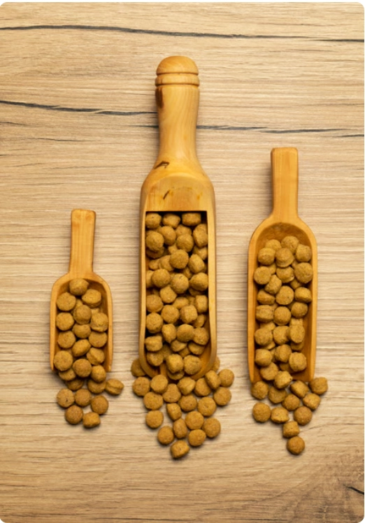 PİSTTACUS HIGH PROTEIN 3kg