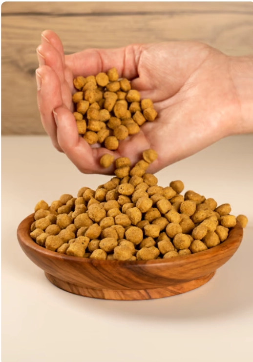 PİSTTACUS HIGH PROTEIN 3kg