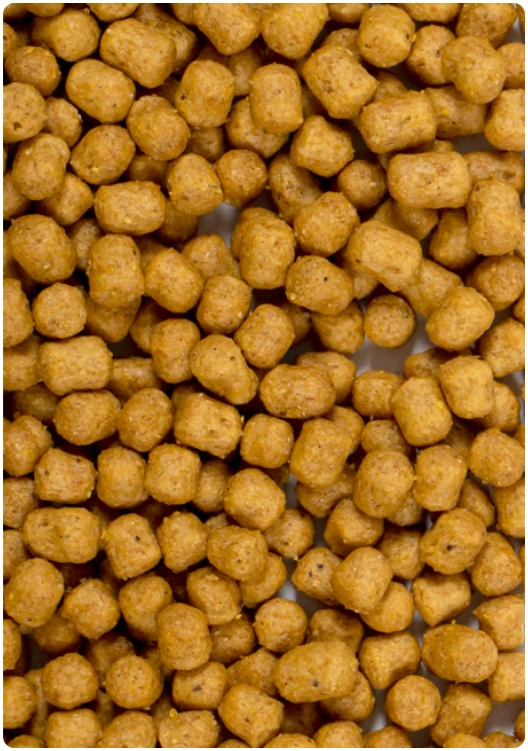 PİSTTACUS PARROT MAINTENANCE 3kg