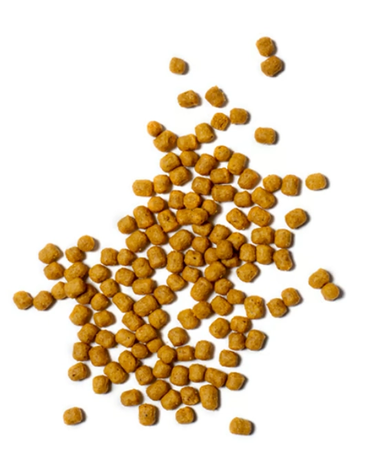 PİSTTACUS PARROT MAINTENANCE 3kg