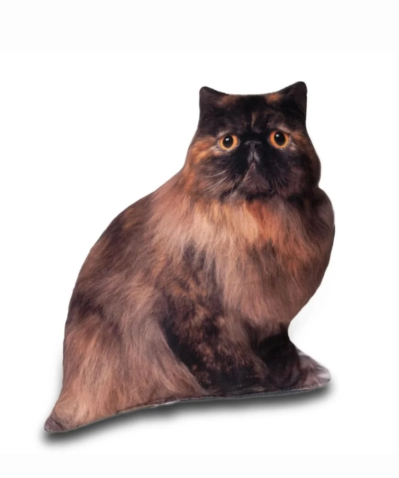 Lepus 3 Boyutlu Kedi Yastığı No 6 40x25 Cm
