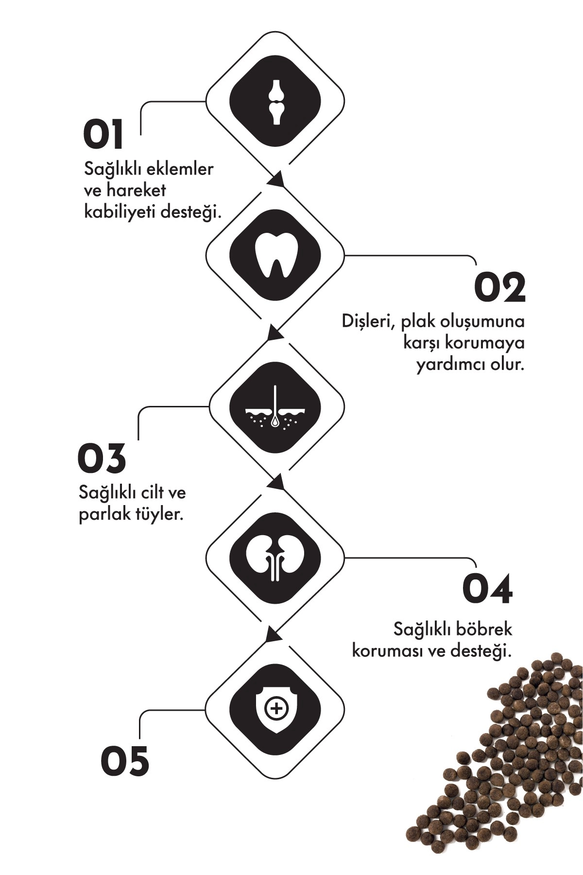 Pro Performance Kızlıcıklı Kuzulu Karidesli ve Somonlu Kısırlaştırılmış Kedi Maması 2kg