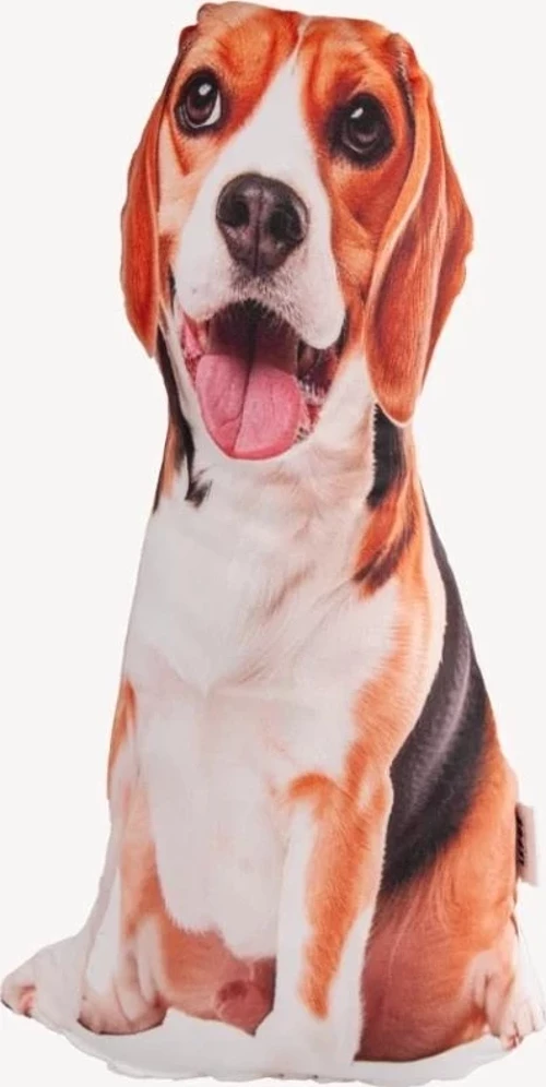 LEPUS 3 BOYUTLU KÖPEK YASTIĞI NO 16