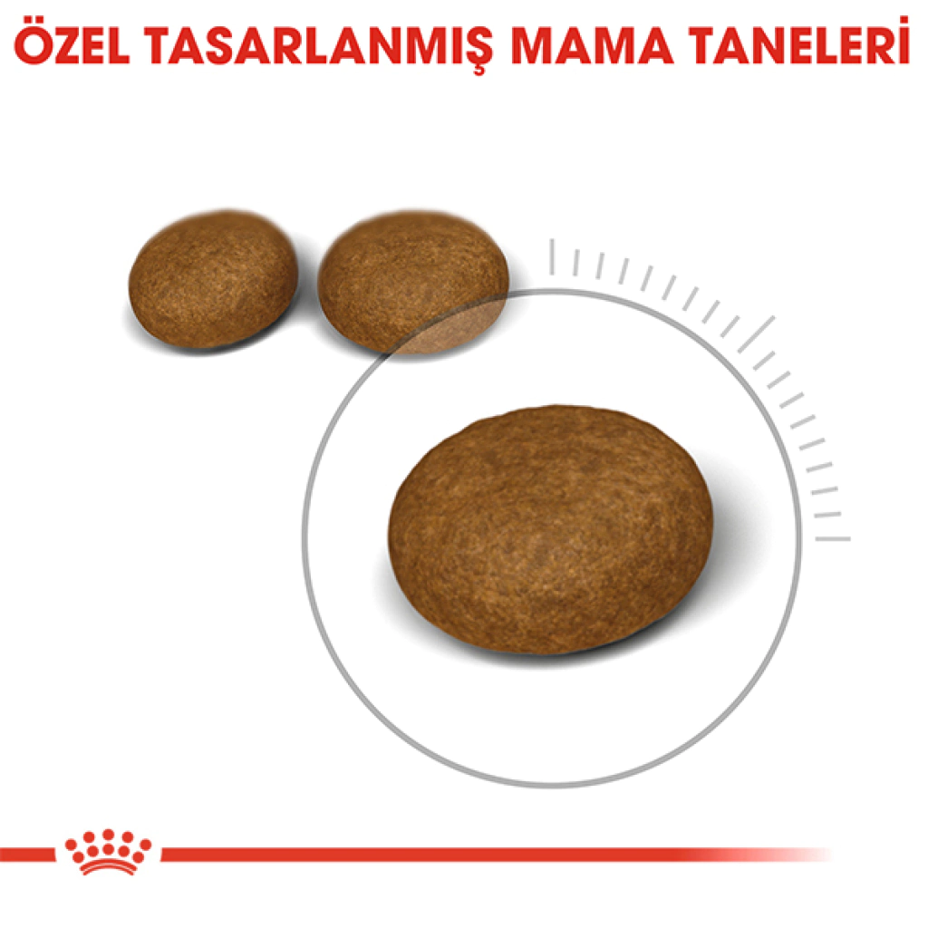 Royal Canin Hair&Skin Hassas Tüylü Kedi Maması 4 kg