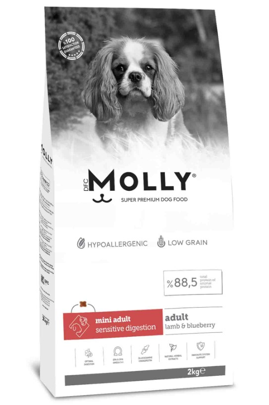 Molly Hipoalerjenik Kuzu Etli ve Yaban Mersinli Küçük Irk Düşük Tahıllı Yetişkin Köpek 2kg