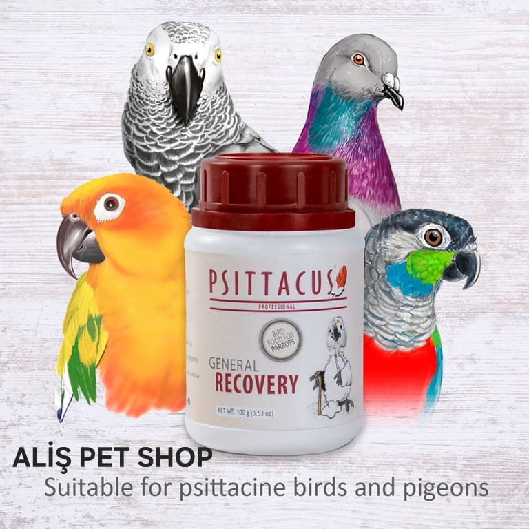 PSİTTACUS GENEL İYİLEŞME 100 gr