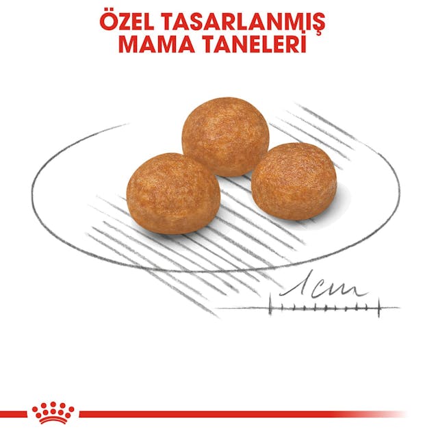 Royal Canin X Small Adult Yetişkin Köpek Maması 3 Kg