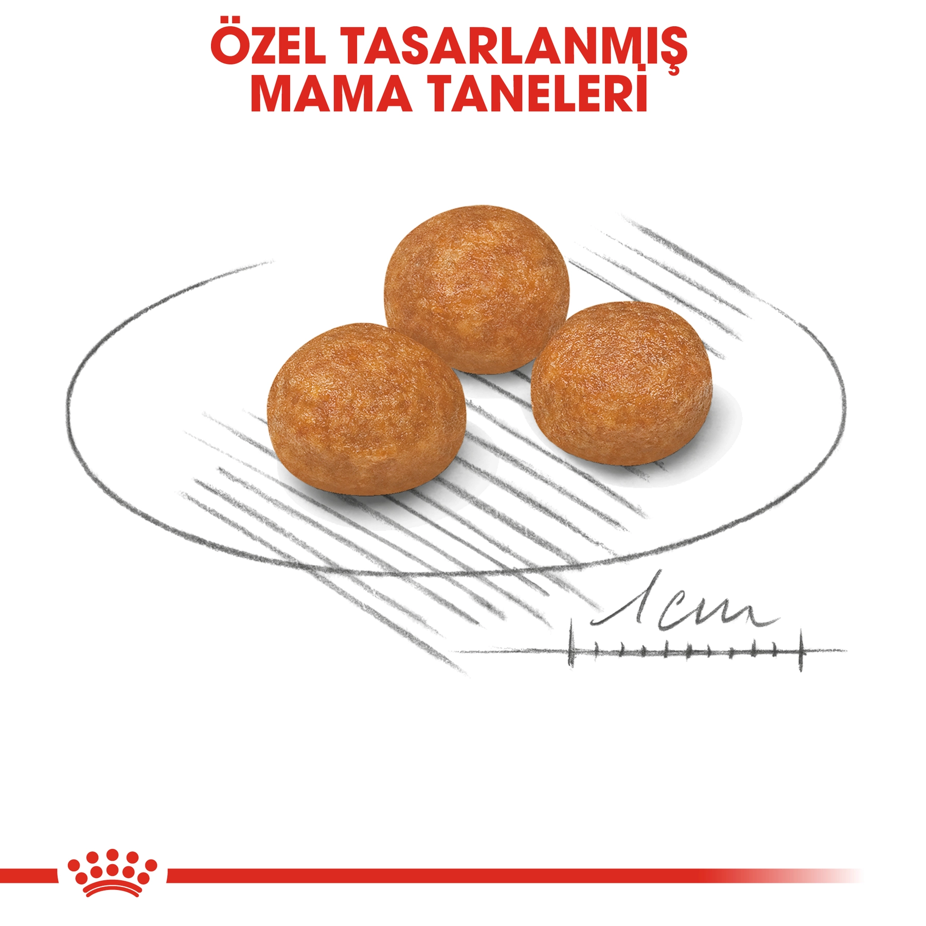 Royal Canin XSmall Küçük Irk Yetişkin Köpek Maması 1,5kg