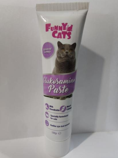 FUNNY Glucosamine (Glukozamin) Paste 100gr