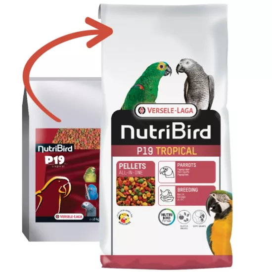 Versele Laga Nutrıbırd P19 Tropıcal Papağan Pelet Yem 10kg