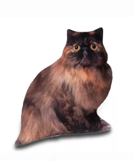 Lepus 3 Boyutlu Kedi Yastığı No 6 40x25 Cm