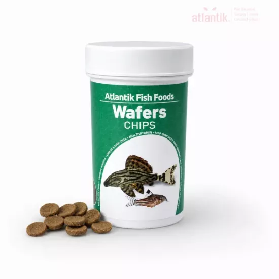 ATLANTİK BALIK YEMİ 100 ML - WAFER CHİPS
