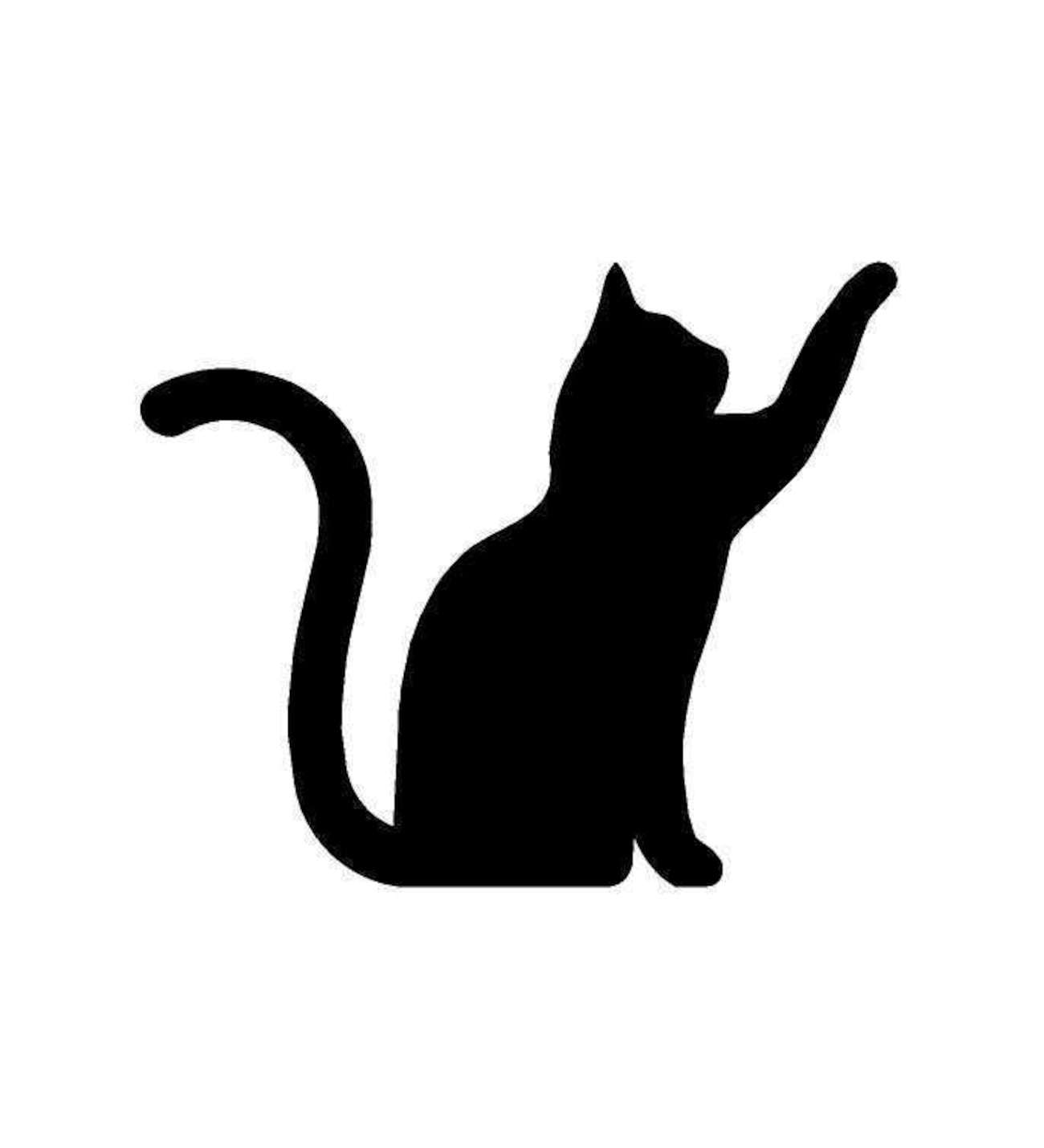 KEDİ